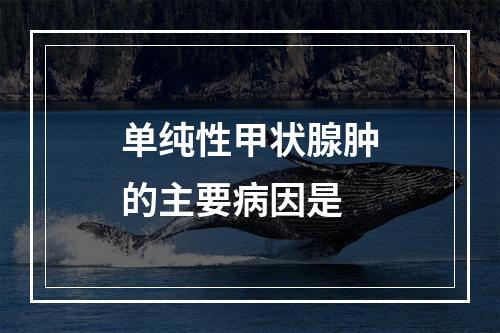 单纯性甲状腺肿的主要病因是