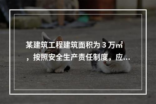 某建筑工程建筑面积为 3 万㎡，按照安全生产责任制度，应配备