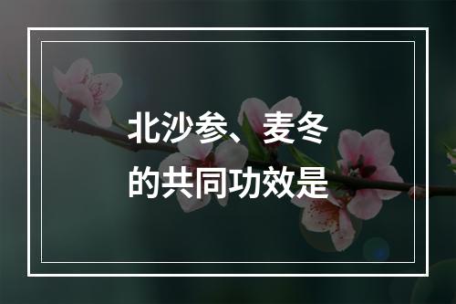 北沙参、麦冬的共同功效是