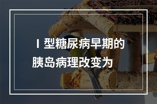 Ⅰ型糖尿病早期的胰岛病理改变为