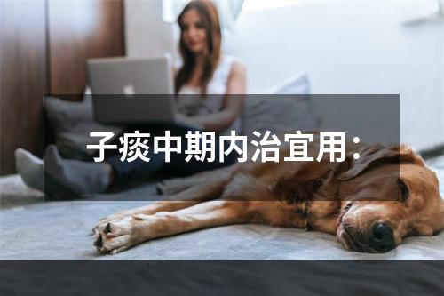 子痰中期内治宜用：