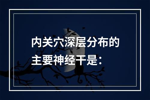 内关穴深层分布的主要神经干是：