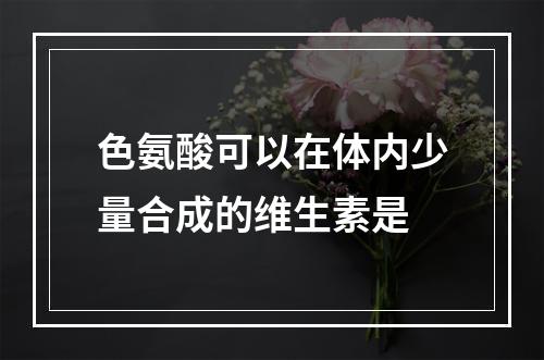 色氨酸可以在体内少量合成的维生素是