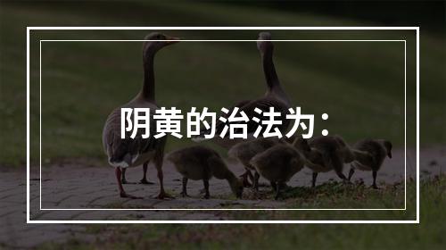 阴黄的治法为：