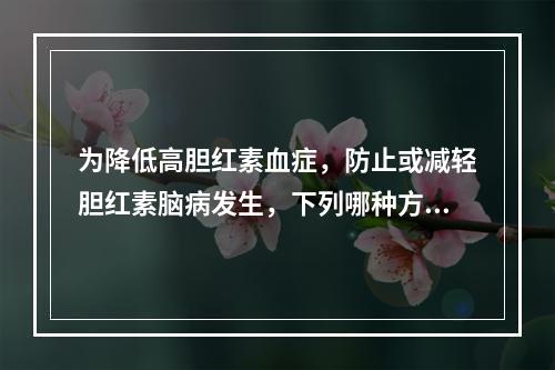 为降低高胆红素血症，防止或减轻胆红素脑病发生，下列哪种方法最