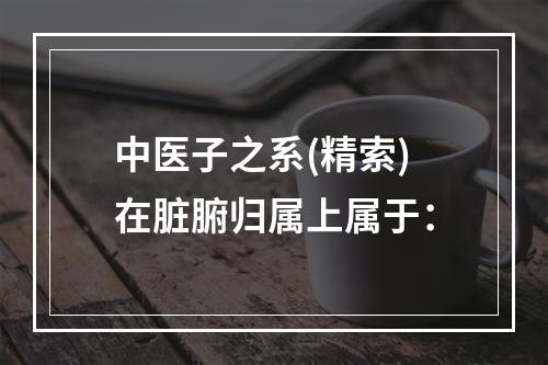 中医子之系(精索)在脏腑归属上属于：