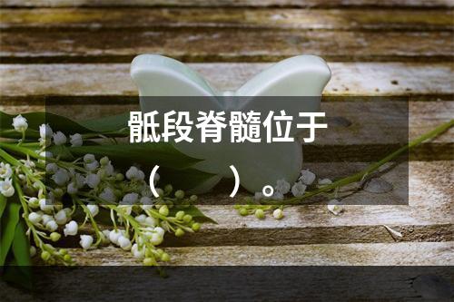 骶段脊髓位于（　　）。