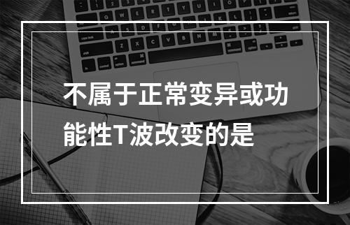 不属于正常变异或功能性T波改变的是