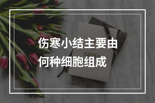 伤寒小结主要由何种细胞组成