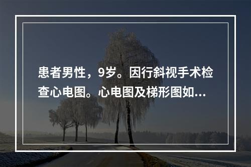 患者男性，9岁。因行斜视手术检查心电图。心电图及梯形图如图4