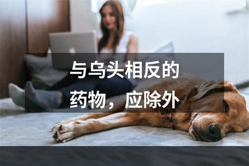 与乌头相反的药物，应除外