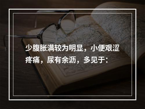 少腹胀满较为明显，小便艰涩疼痛，尿有余沥，多见于：