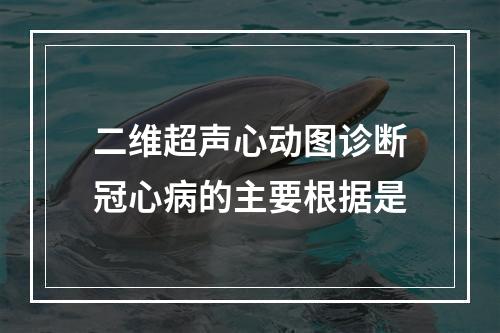 二维超声心动图诊断冠心病的主要根据是