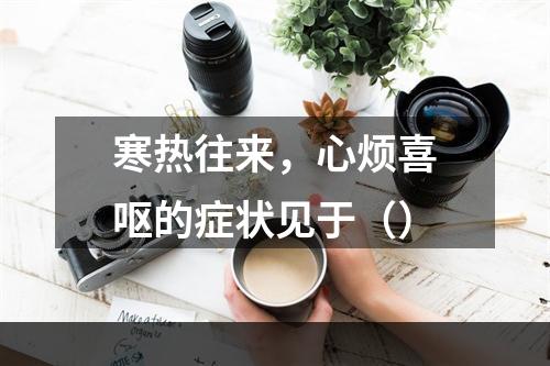 寒热往来，心烦喜呕的症状见于（）