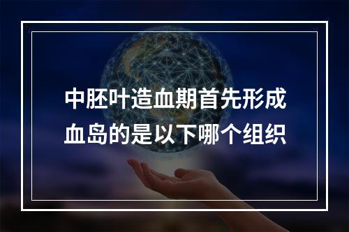 中胚叶造血期首先形成血岛的是以下哪个组织