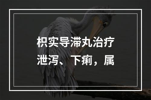 枳实导滞丸治疗泄泻、下痢，属