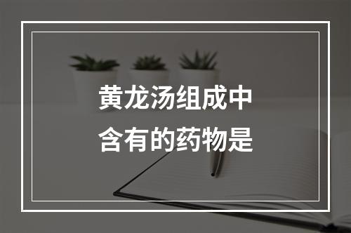 黄龙汤组成中含有的药物是