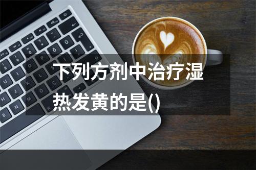 下列方剂中治疗湿热发黄的是()