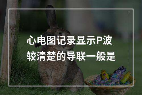 心电图记录显示P波较清楚的导联一般是