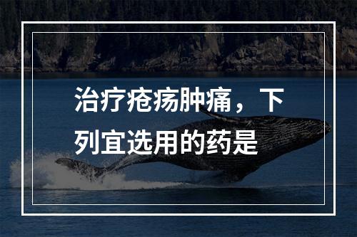 治疗疮疡肿痛，下列宜选用的药是