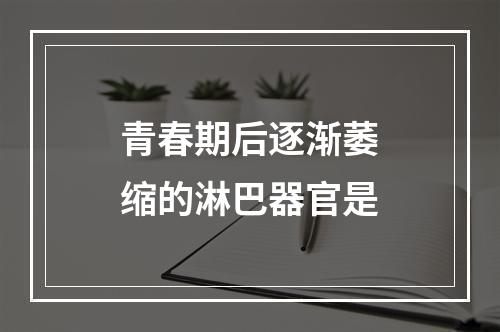 青春期后逐渐萎缩的淋巴器官是