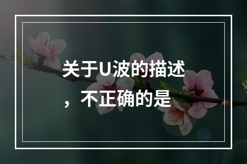 关于U波的描述，不正确的是