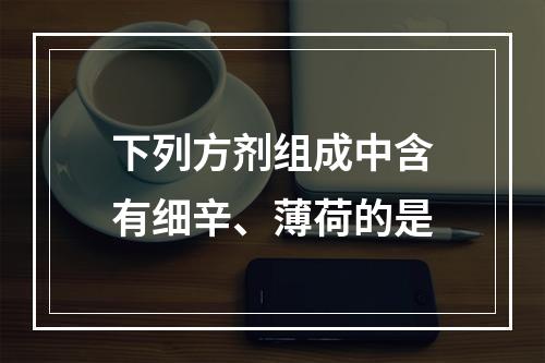 下列方剂组成中含有细辛、薄荷的是