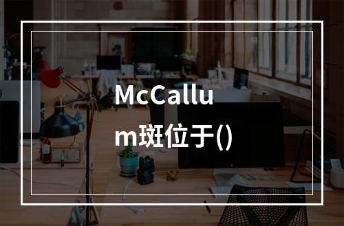 McCallum斑位于()