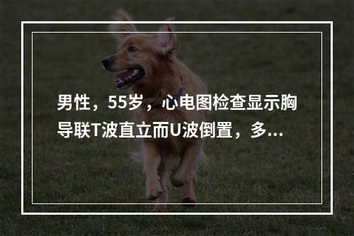 男性，55岁，心电图检查显示胸导联T波直立而U波倒置，多提示