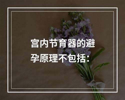 宫内节育器的避孕原理不包括：