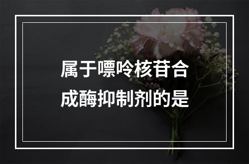 属于嘌呤核苷合成酶抑制剂的是