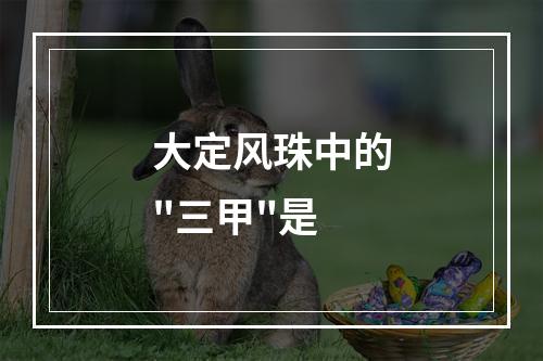 大定风珠中的