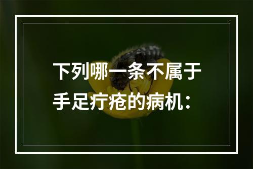 下列哪一条不属于手足疔疮的病机：