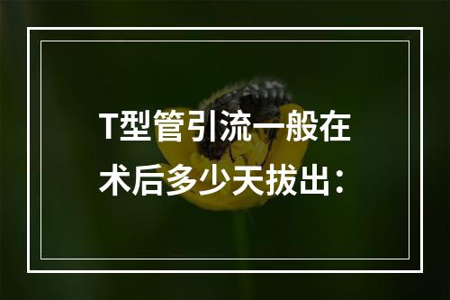 T型管引流一般在术后多少天拔出：