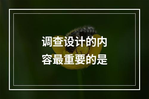 调查设计的内容最重要的是