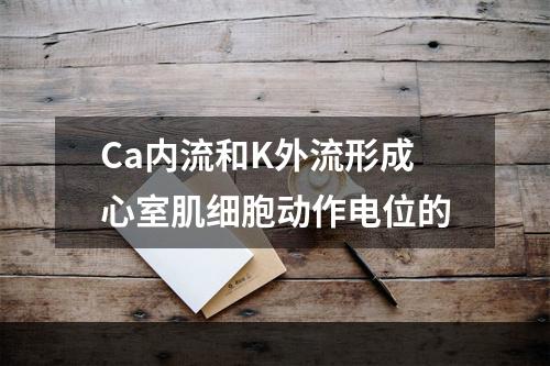 Ca内流和K外流形成心室肌细胞动作电位的