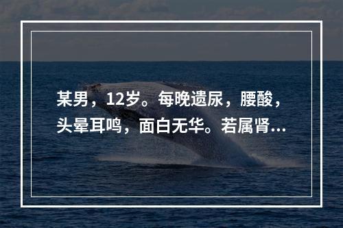 某男，12岁。每晚遗尿，腰酸，头晕耳鸣，面白无华。若属肾气不