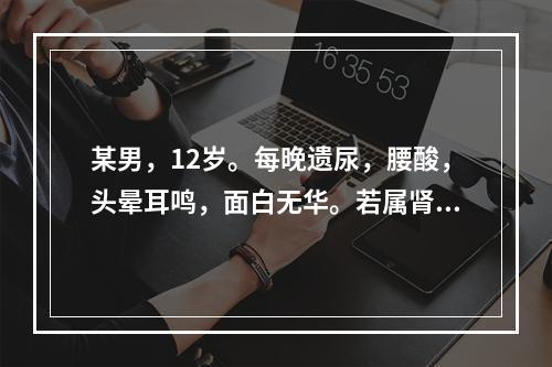 某男，12岁。每晚遗尿，腰酸，头晕耳鸣，面白无华。若属肾阳虚