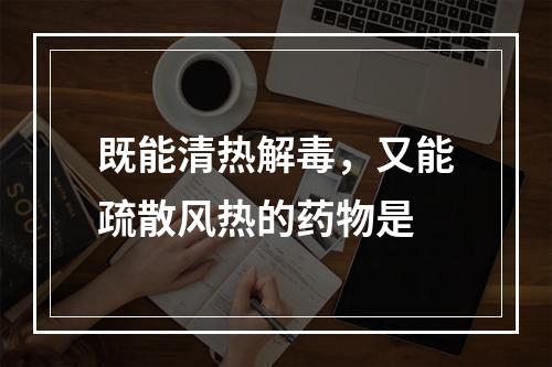 既能清热解毒，又能疏散风热的药物是