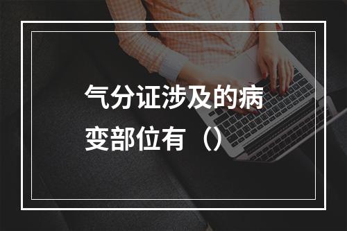 气分证涉及的病变部位有（）