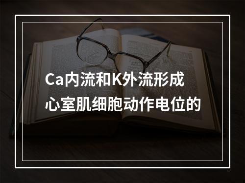 Ca内流和K外流形成心室肌细胞动作电位的