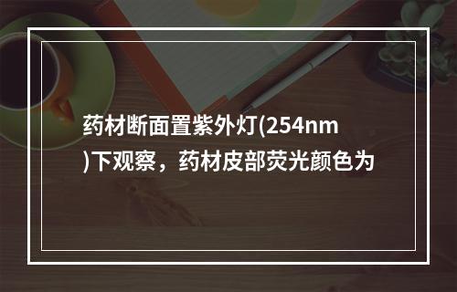 药材断面置紫外灯(254nm)下观察，药材皮部荧光颜色为