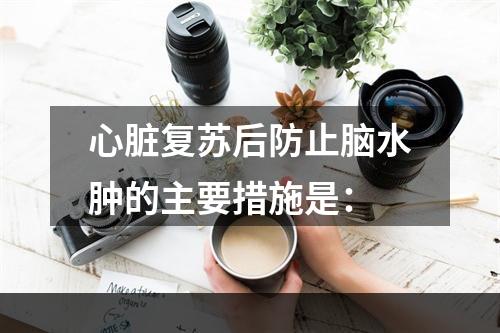 心脏复苏后防止脑水肿的主要措施是：