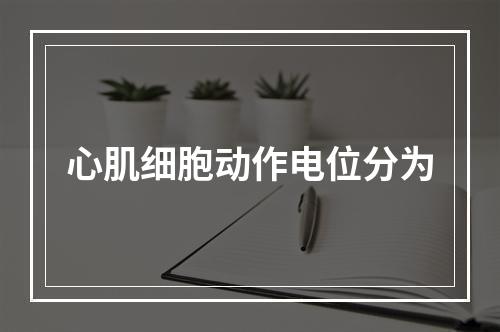 心肌细胞动作电位分为