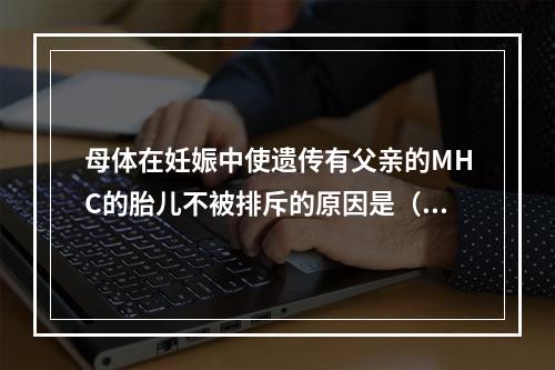 母体在妊娠中使遗传有父亲的MHC的胎儿不被排斥的原因是（）