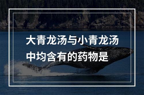 大青龙汤与小青龙汤中均含有的药物是