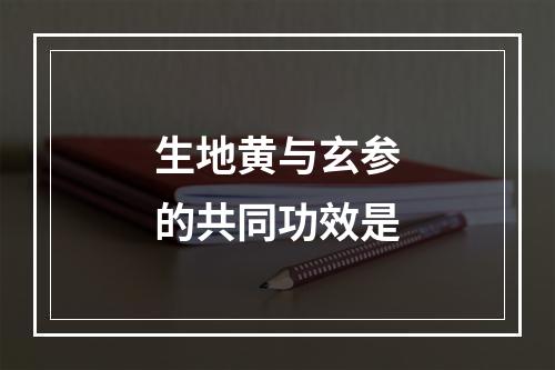 生地黄与玄参的共同功效是