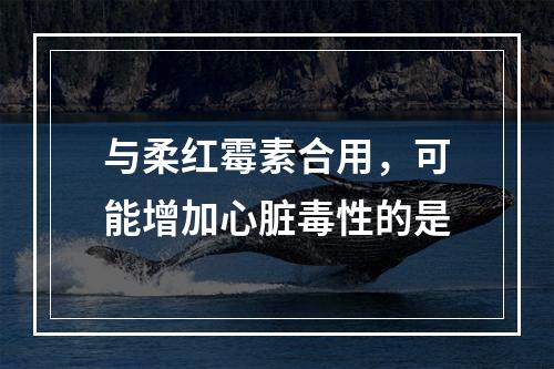 与柔红霉素合用，可能增加心脏毒性的是