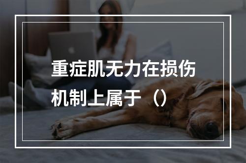 重症肌无力在损伤机制上属于（）