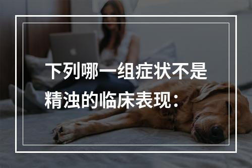 下列哪一组症状不是精浊的临床表现：